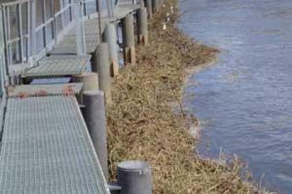 Hydropower Intake Structure Blocked by Weeds