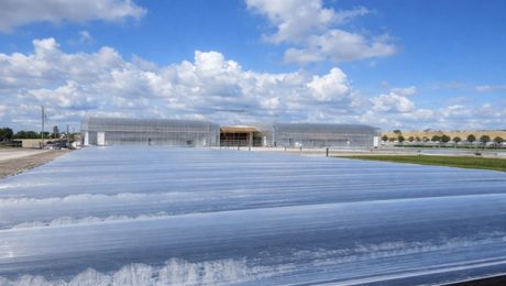 Sealed Bags Producing Ethanol from Algae in the sun.