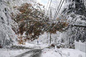 Snowy street with fallen branches.