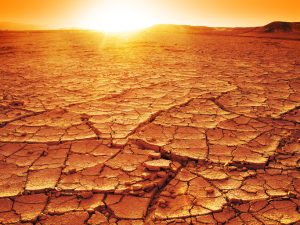 Climate change brings periods of extreme heat.