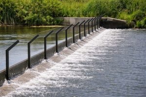 Physical carp barrier