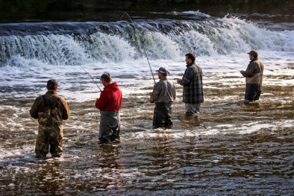 Trout Fishing on the Milwaukee River