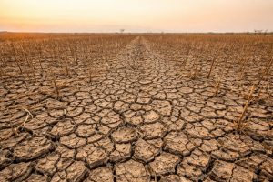 Climate change leads to extreme weather such as drought.