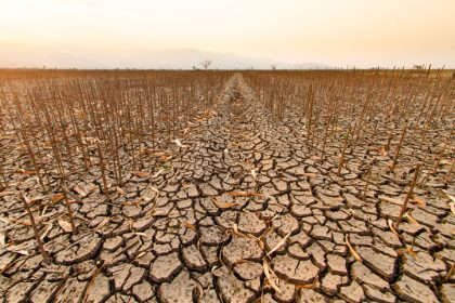 Drought impact on farming community