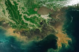 The large brown areas are heavy sediment and floodwater runoff, which can create a hypoxic zone, also known as a "dead zone". 