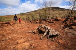 landscape severely affected by drought