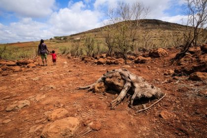 landscape severely affected by drought