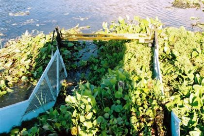 Water hyacinth harvester