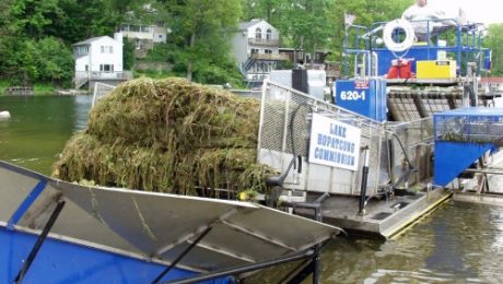 Lake Weed Harvester and Offloading Conveyor