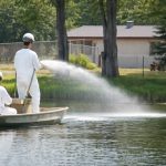 Spraying herbicide on the lake