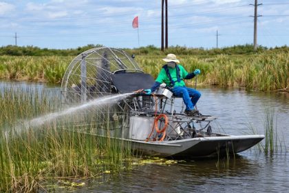 Chemical Treatment of aquatic plants.