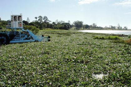 Aquatic Weed Harvester Cutting Water Hyacinth