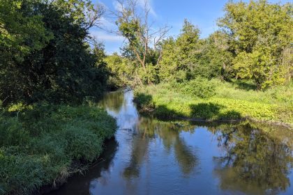 Natural Shoreline Along River