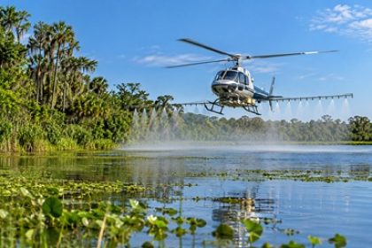A helicopter sprays aquatic herbicides over a Florida lake to control excessive aquatic vegetation and help manage invasive plant growth.