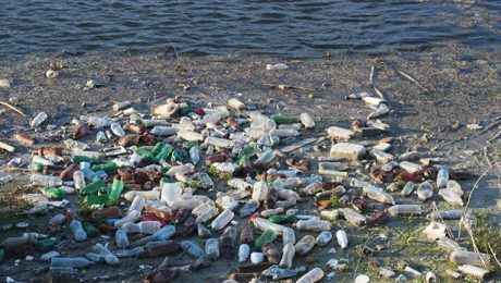 Plastic and Other Debris in Water