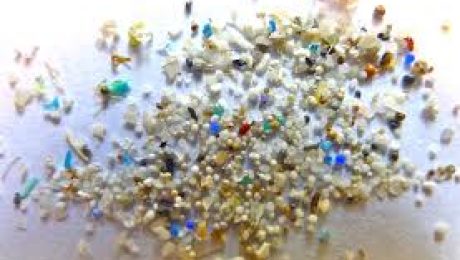 Small Plastic Particles are Microplastics