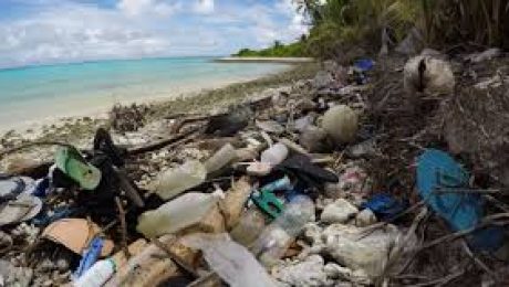 Plastic Trash on Shoreline