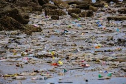 Plastic Marine Debris
