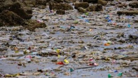 Plastic Marine Debris