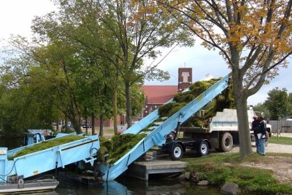 Weed Harvester Unloading into a Shore Conveyor