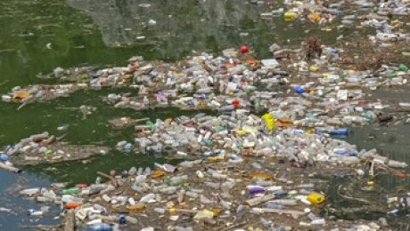 By 2050, there will be so much plastic floating in the ocean it will outweigh the fish.
