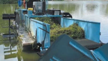 Aquatic Weed Harvester unloading into Offloading Conveyor