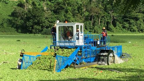 Mechanical water hyacinth harvester
