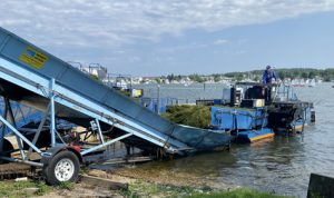 Aquatic Weed Harvester transfering weeds to a shore conveyor.