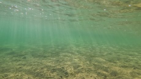 Crystal clear underwater view capturing beautiful sun rays piercing through the natural water column down to the sandy bottom of Rummu quarry in Estonia. Lakebed nearly devoid of aquatic plants illustrates the absence of underwater vegetation, which provides important habitat, shelter, and food sources for aquatic life.