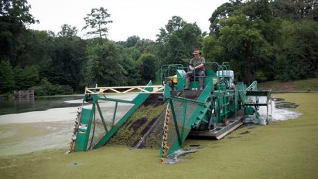 Mechanical weed harvester removing duckweed in New York.