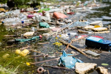 Plastic, branches, Styrofoam debris floating on water.