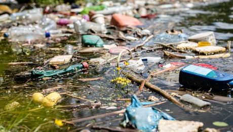 Plastic, branches, Styrofoam debris floating on water.