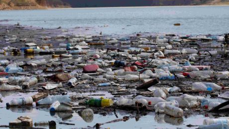 Plastic makes up 75% of the floating debris in rivers.