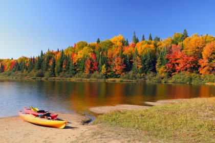Autumn forest reflected in water
