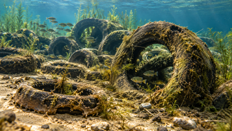 Tires used to create artificial reefs
